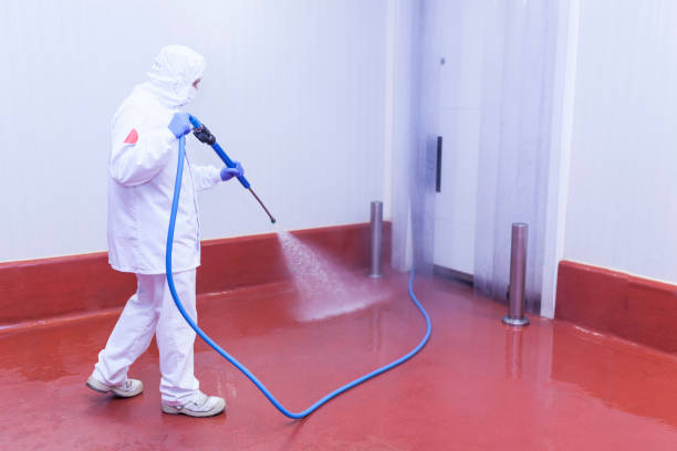 Best Patio and Deck Pressure Washing  in Swissvale, PA